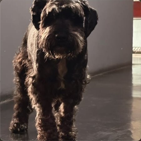Foto del timeline de Alfie, 17 may 2026